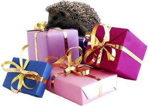 cadeaus-copy-300x214
