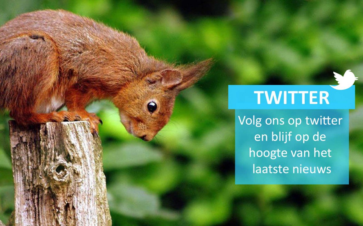 Volg ons op Twitter!